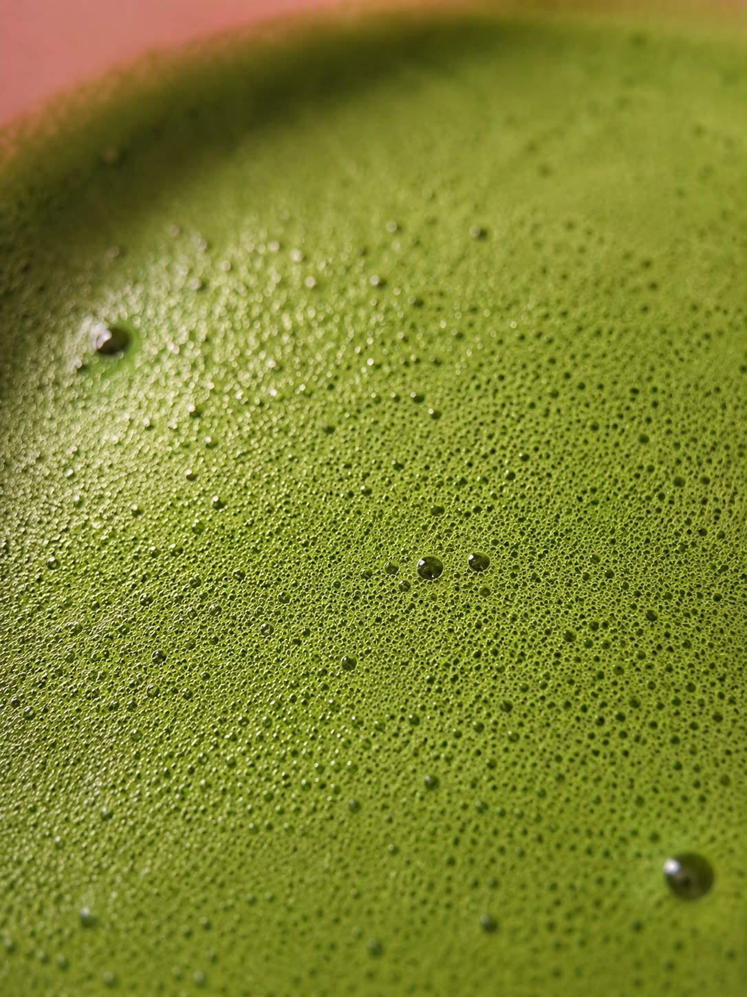 Matcha Ceremonial Orgánico